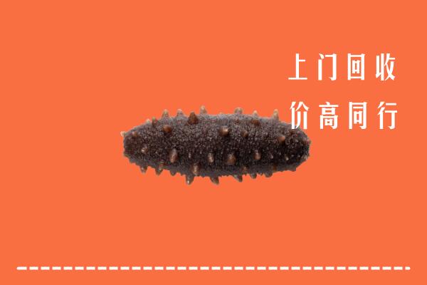 平塘县回收海参